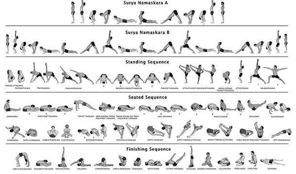 Vinyasa yoga zevenaar